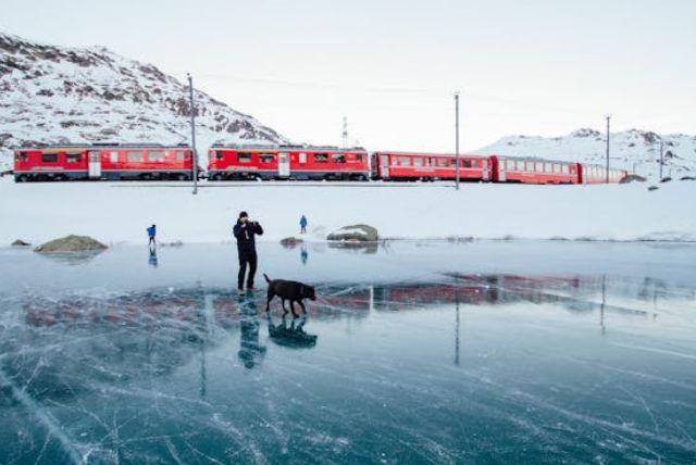 האם אפשר להביא חיות מחמד לרכבת ברנינה