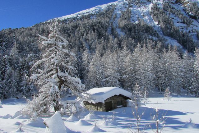 תחנת Pontresina Morteratsch Stop – תחנת משנה לנגישות לקרחון.