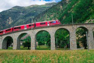 מה ההבדל בין קווים עונתיים לקווים קבועים של ברנינה