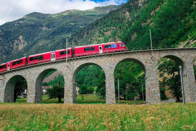 מה ההבדל בין קווים עונתיים לקווים קבועים של ברנינה