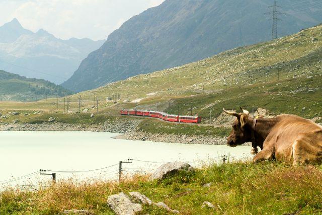 מה רואים בדרך - נקודות התצפית המרשימות ביותר במסלול ברנינה