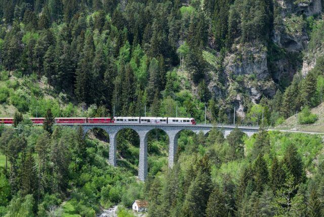 רכבת ברנינה האדומה - השוואה בין מחלקה ראשונה לשנייה וכל ההבדלים שחשוב לדעת